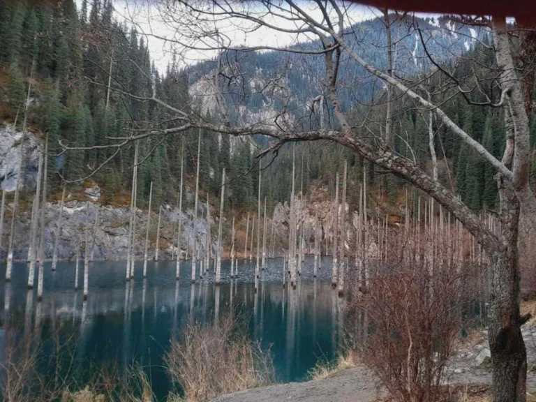 The submerged spruce forest of Kaindy Lake in Kazakhstan