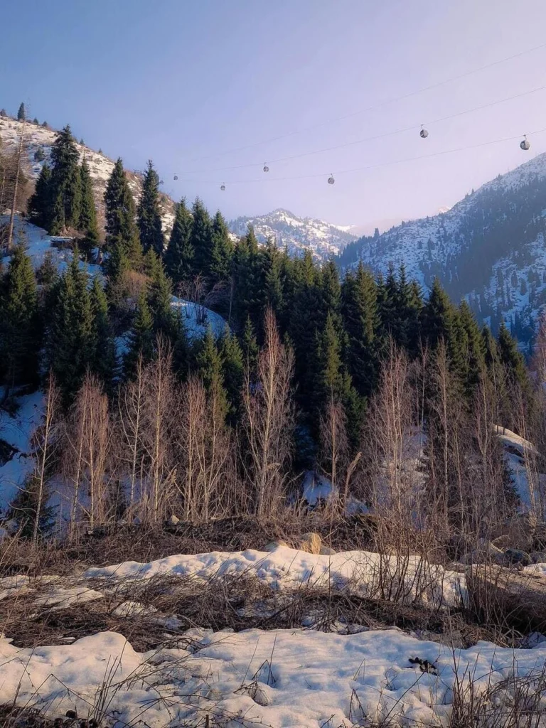 Cable cars over snowy mountains and pine forest near Medeo